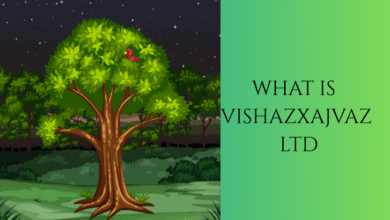 What is Vishazxajvaz Ltd